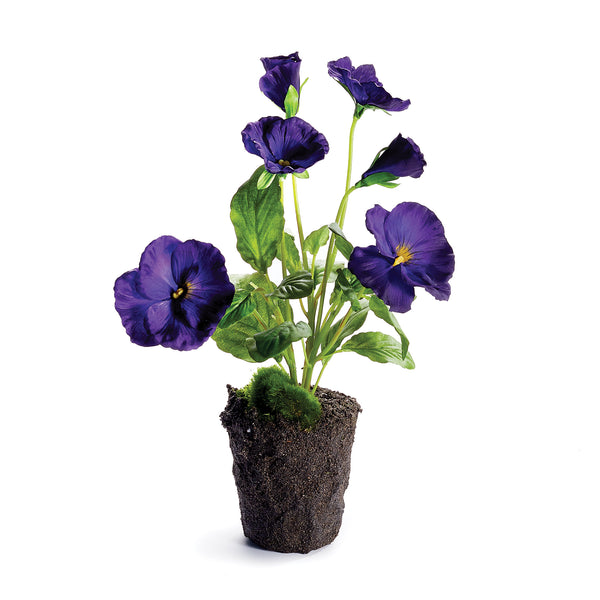 PANSY DROP-N 11.5" PURPLE