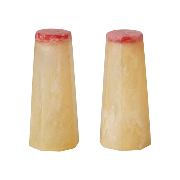 Two-Tone Resin Salt & Pepper Shakers, Set of 2