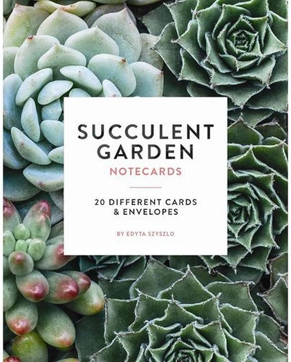 Succulent Garden Notecards