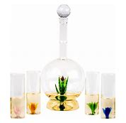 Tequila Aloe Decanter set 4 glasses